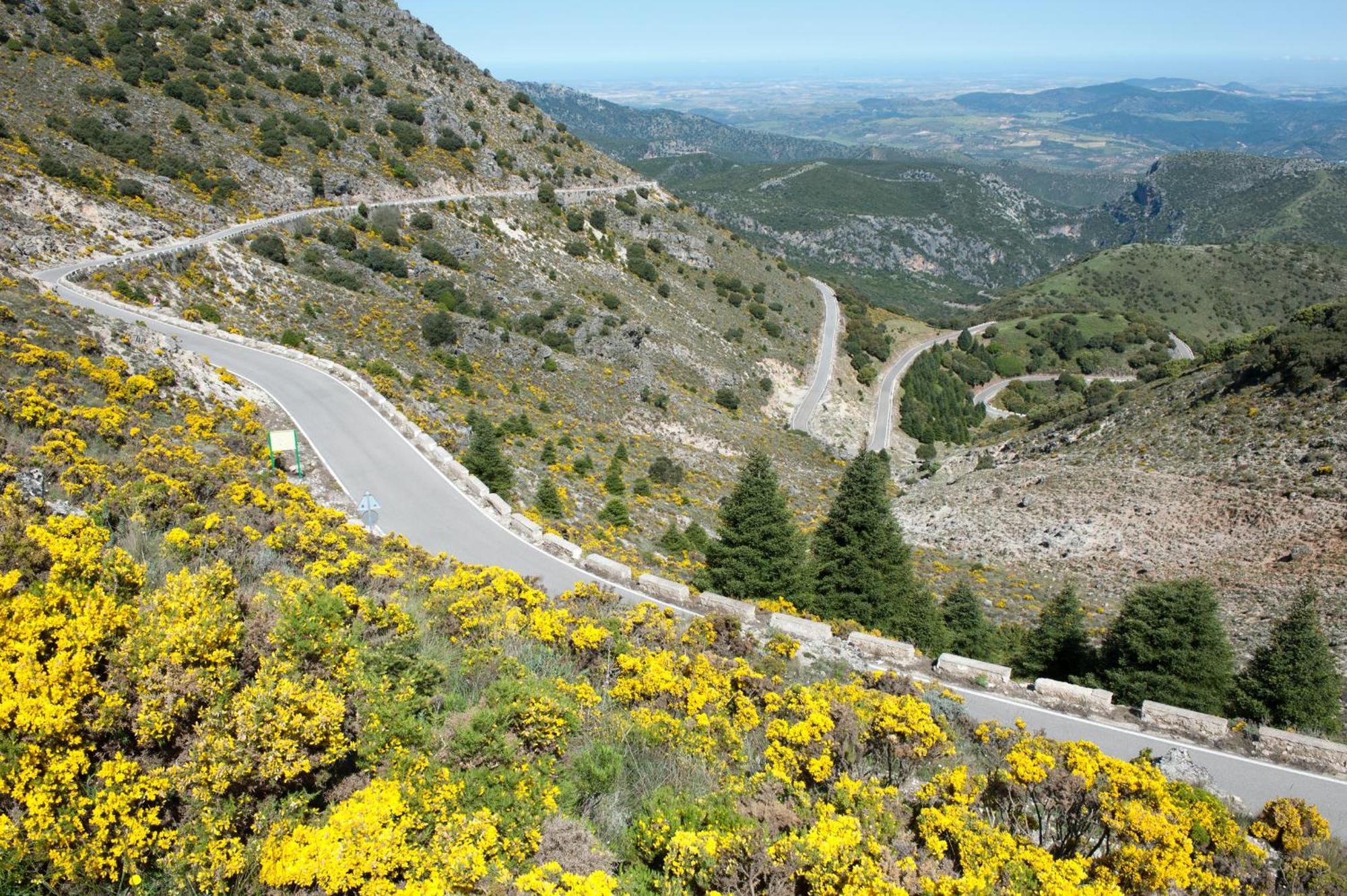 Al Lago Zahara De La Sierra Εξωτερικό φωτογραφία